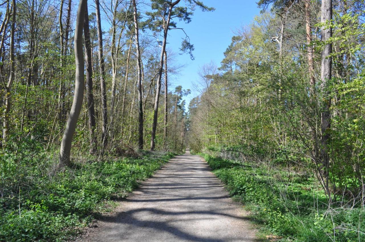 Ostseetraum Ostseebad Kühlungsborn Exteriör bild